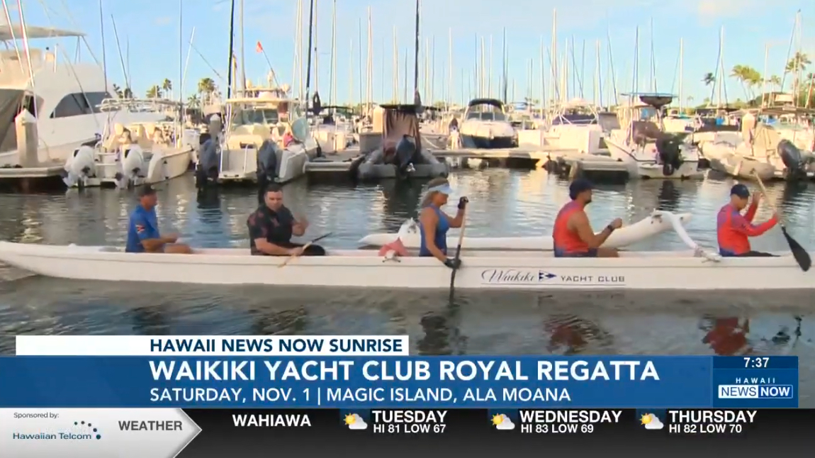 Any Video By Blocs Builder